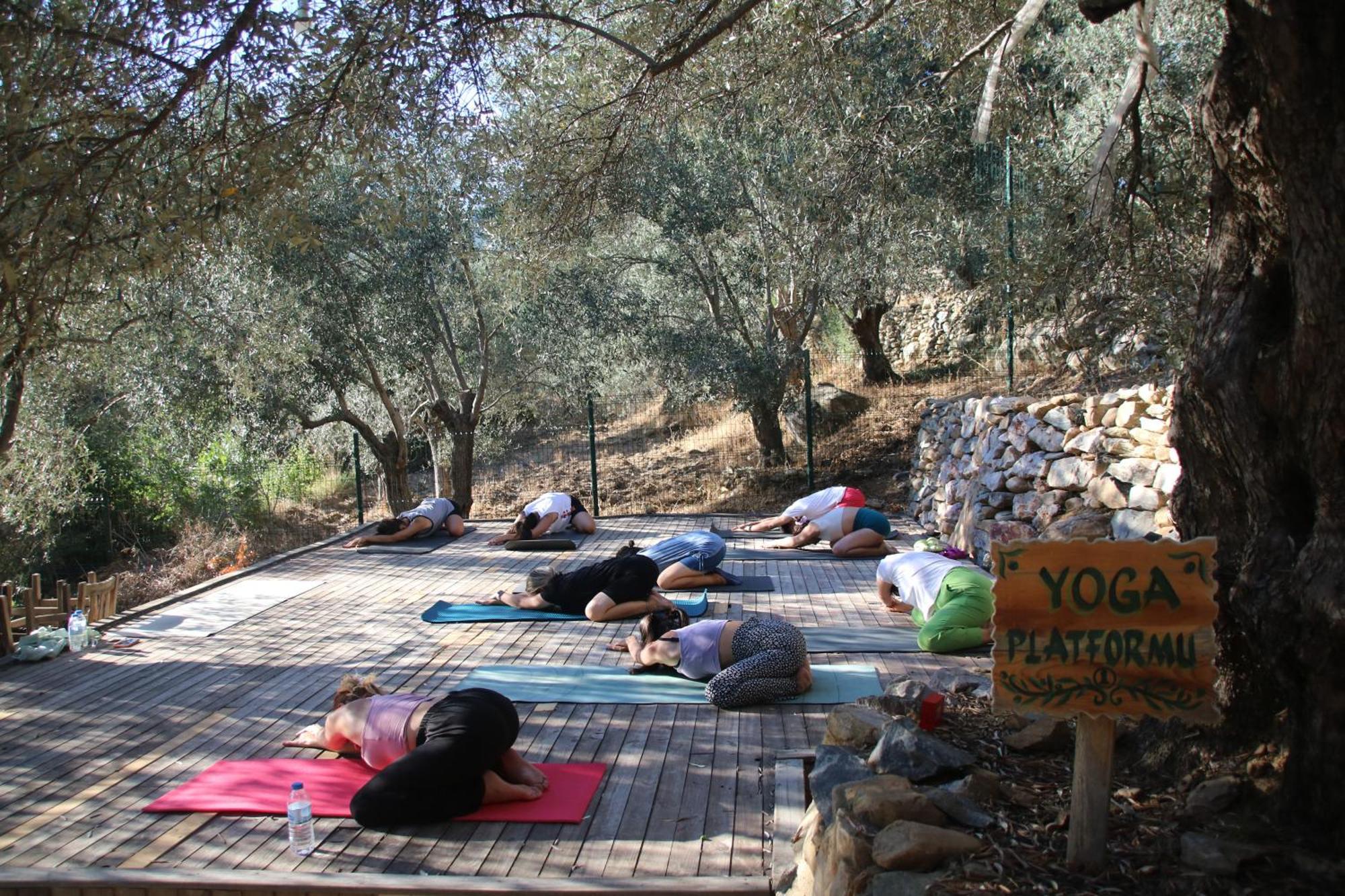 מלון Mehmetalani Yiva Kazdaglari מראה חיצוני תמונה